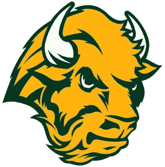 North Dakota State Bison 2005-2011 Alternate Logo iron on transfers for clothing